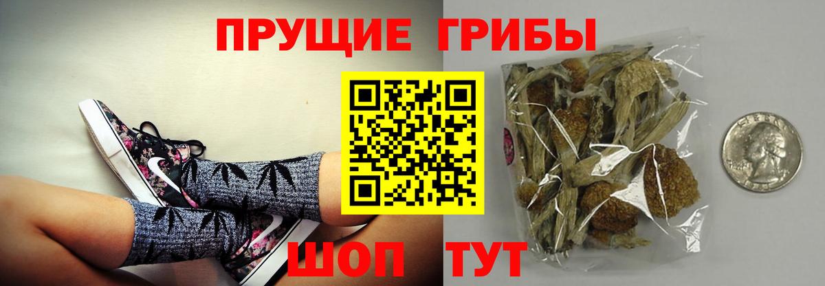 Галлюциногенные грибы Cubensis Бор