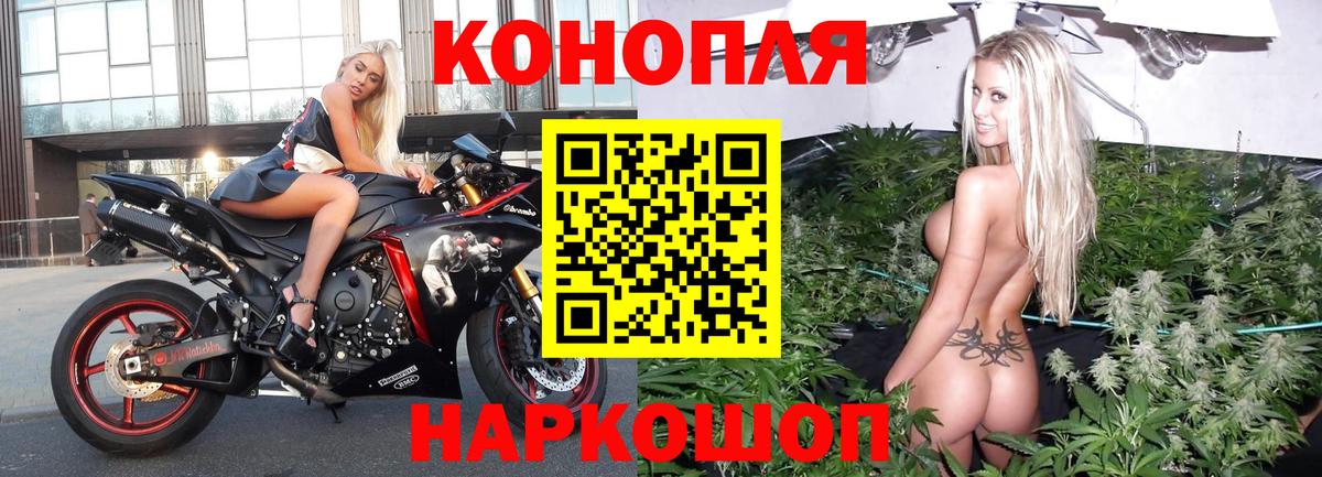 Канабис ГИДРОПОН Бор